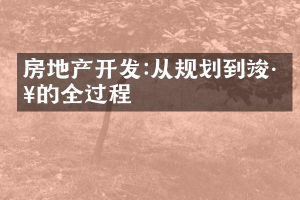 房地产开发:从规划到竣工的全过程