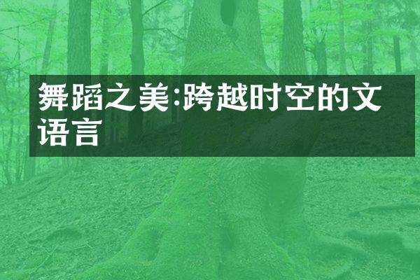 舞蹈之美:跨越时空的文化语言