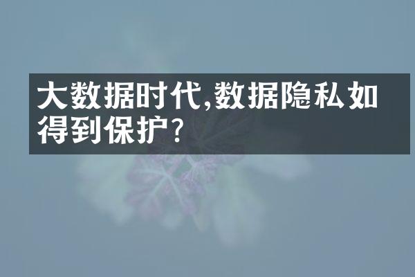 大数据时代,数据隐私如何得到保护?
