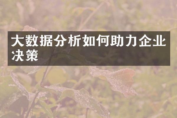 大数据分析如何助力企业决策