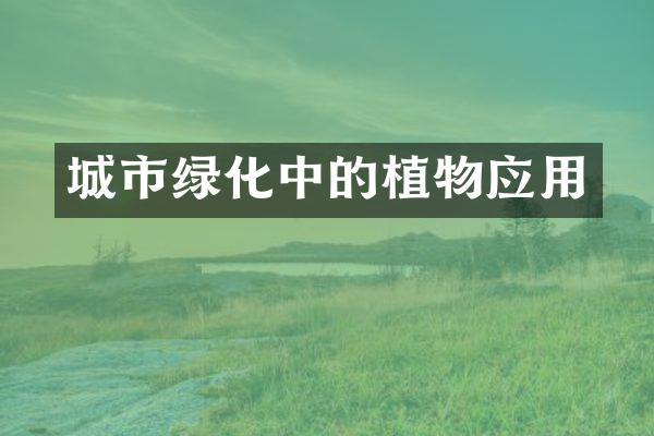 城市绿化中的植物应用