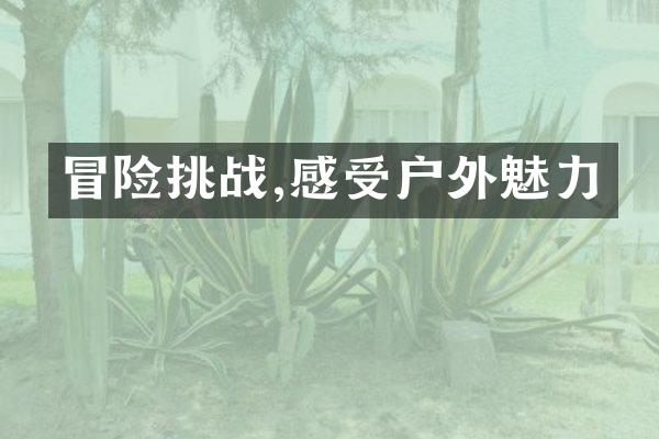 冒险挑战,感受户外魅力