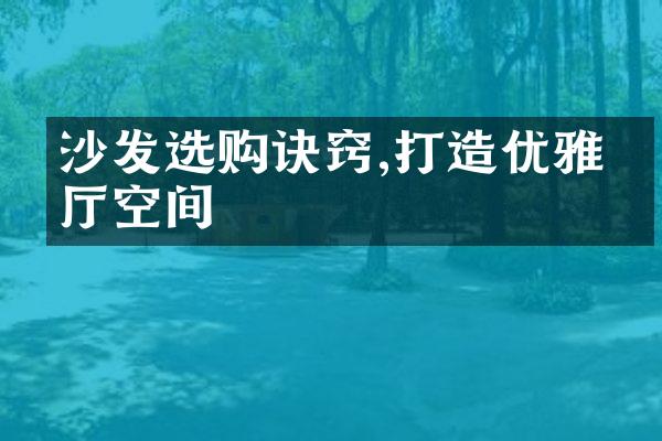 沙发选购诀窍,打造优雅客厅空间