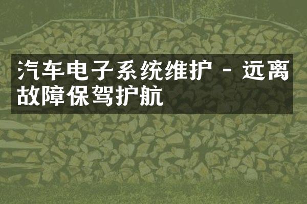 汽车电子系统维护 - 远离故障保驾护航