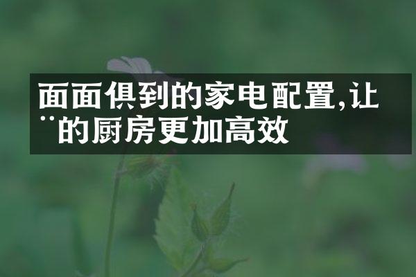 面面俱到的家电配置,让您的厨房更加高效