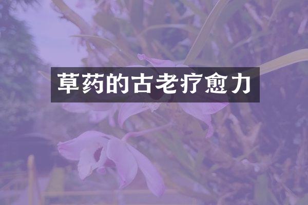 草药的古老疗愈力