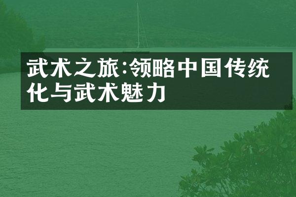 武术之旅:领略中国传统文化与武术魅力