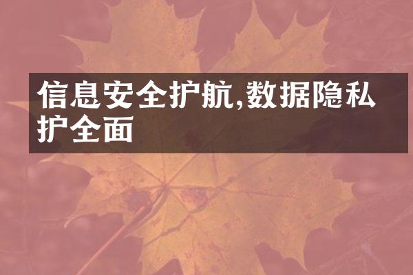 信息安全护航,数据隐私保护全面