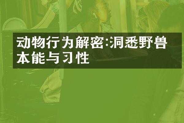 动物行为解密:洞悉野兽的本能与习性