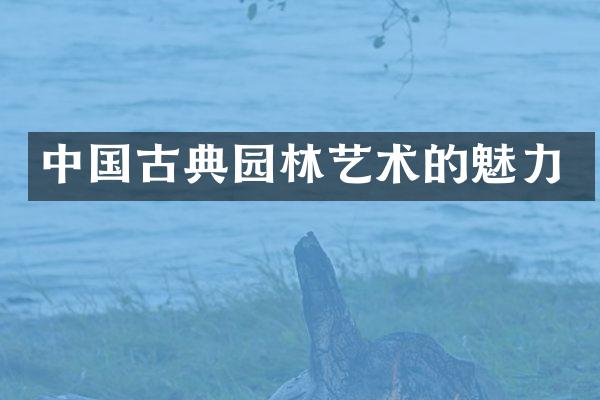 中国古典园林艺术的魅力