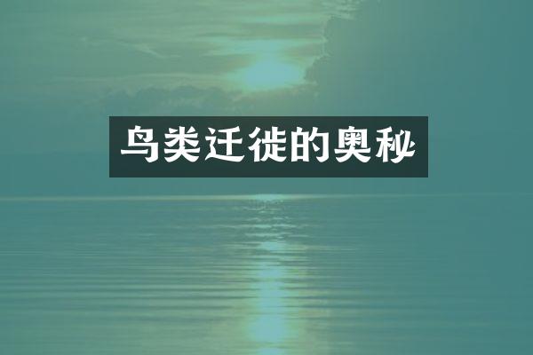 鸟类迁徙的奥秘
