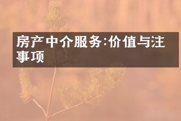 房产中介服务:价值与注意事项