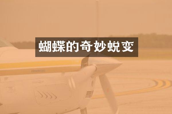 蝴蝶的奇妙蜕变