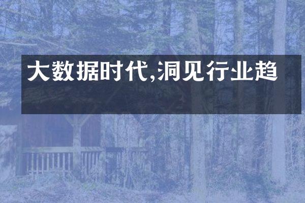 大数据时代,洞见行业趋势