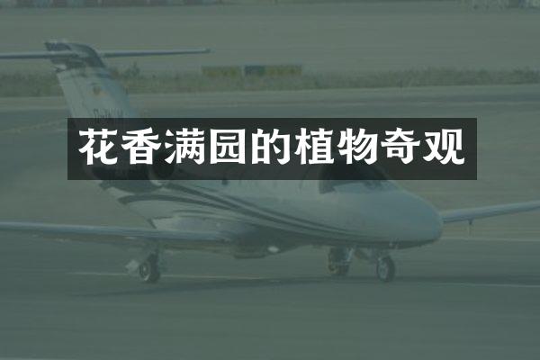 花香满园的植物奇观