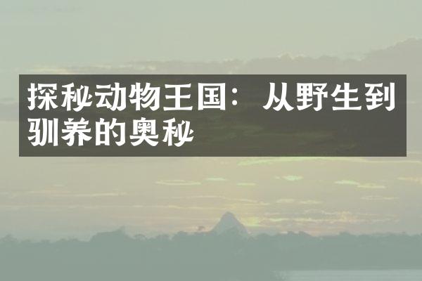 探秘动物王国：从野生到驯养的奥秘