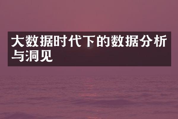 大数据时代下的数据分析与洞见
