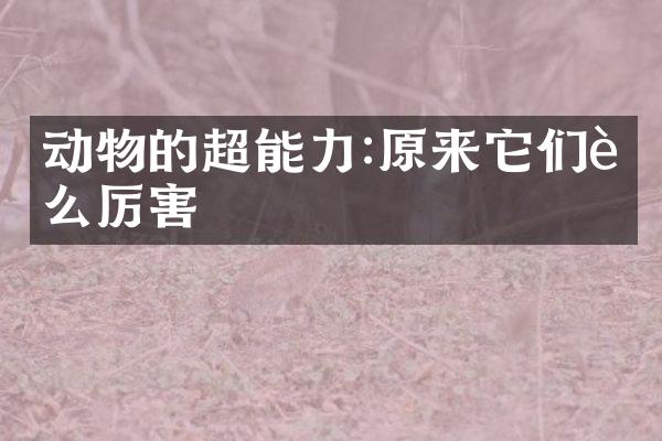 动物的超能力:原来它们这么厉害