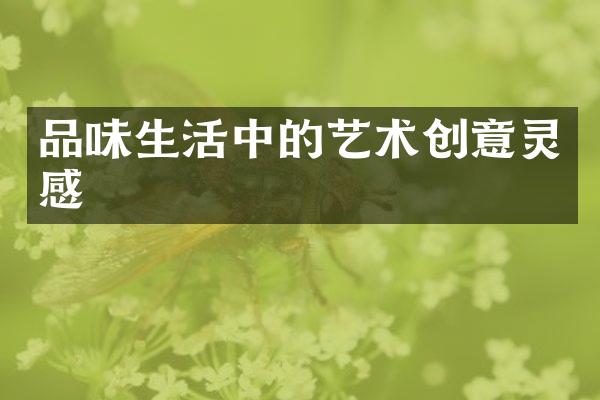 品味生活中的艺术创意灵感
