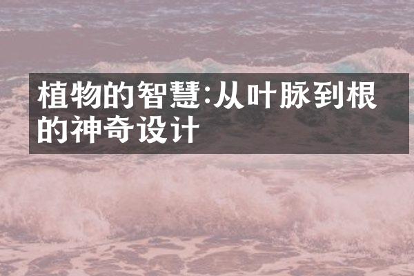 植物的智慧:从叶脉到根系的神奇设计