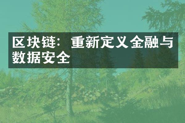 区块链：重新定义金融与数据安全