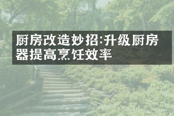 厨房改造妙招:升级厨房电器提高烹饪效率