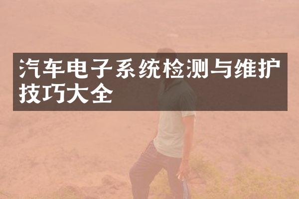 汽车电子系统检测与维护技巧大全