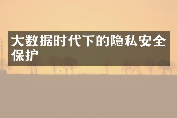 大数据时代下的隐私安全保护