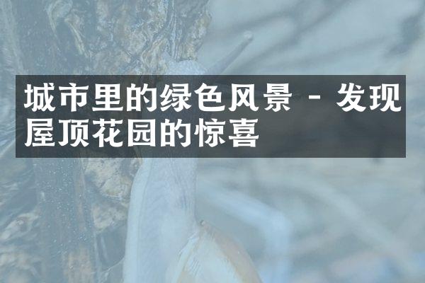 城市里的绿色风景 - 发现屋顶花园的惊喜