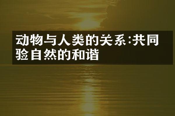 动物与人类的关系:共同体验自然的和谐