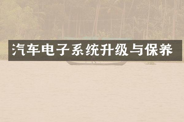 汽车电子系统升级与保养