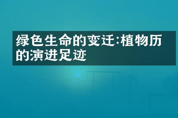 绿色生命的变迁:植物历史的演进足迹