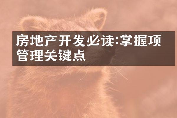 房地产开发必读:掌握项目管理关键点