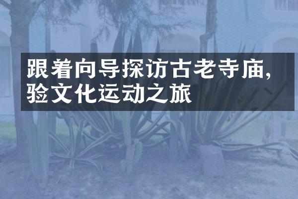 跟着向导探访古老寺庙,体验文化运动之旅