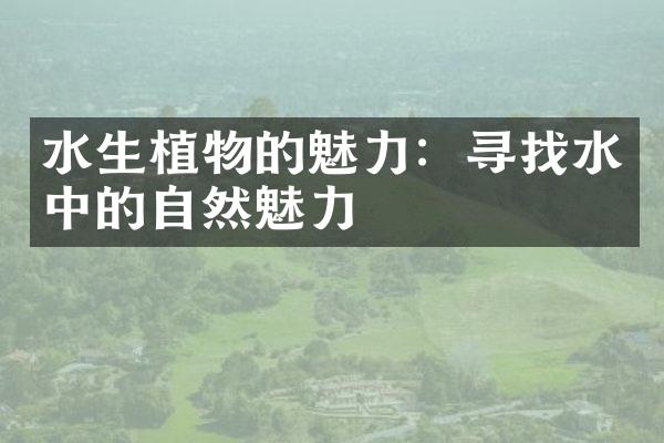 水生植物的魅力：寻找水中的自然魅力