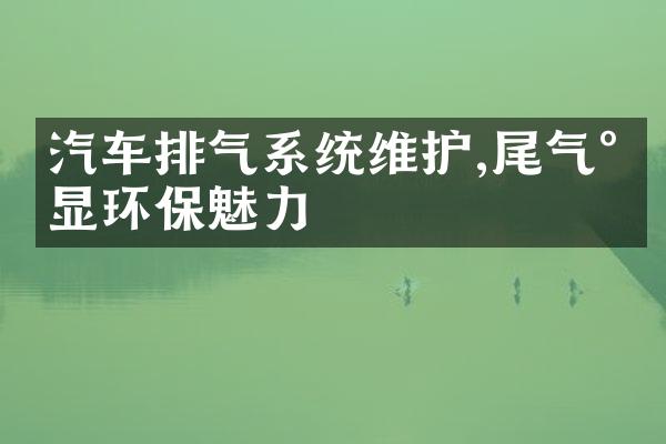 汽车排气系统维护,尾气尽显环保魅力