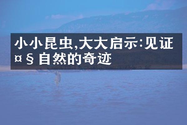 小小昆虫,大大启示:见证大自然的奇迹