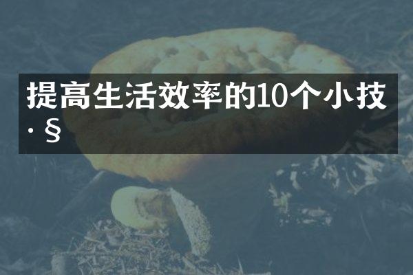 提高生活效率的10个小技巧