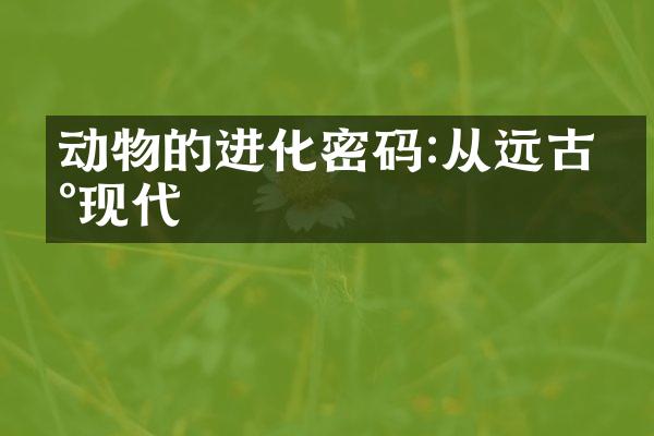 动物的进化密码:从远古到现代