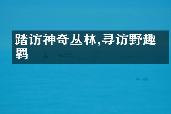 踏访神奇丛林,寻访野趣不羁