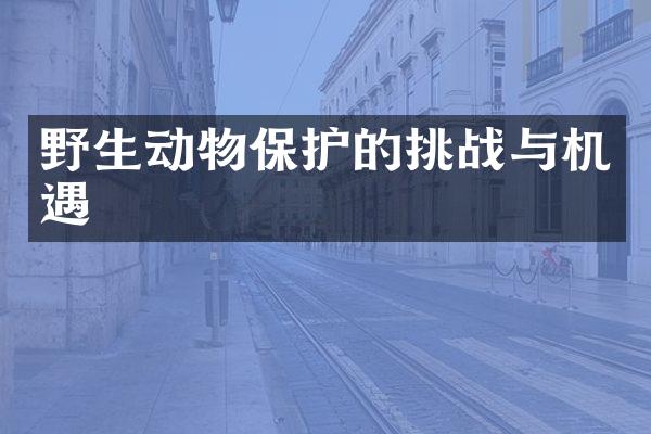野生动物保护的挑战与机遇