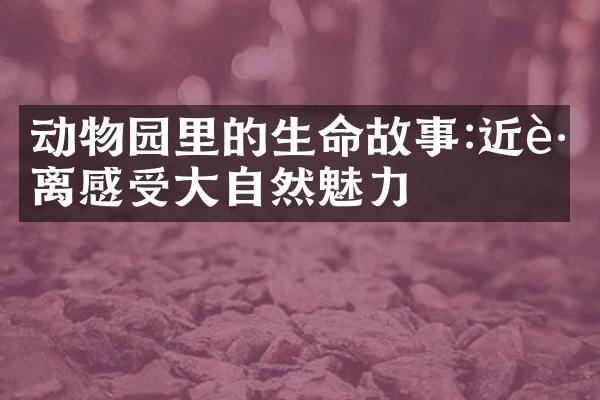 动物园里的生命故事:近距离感受大自然魅力