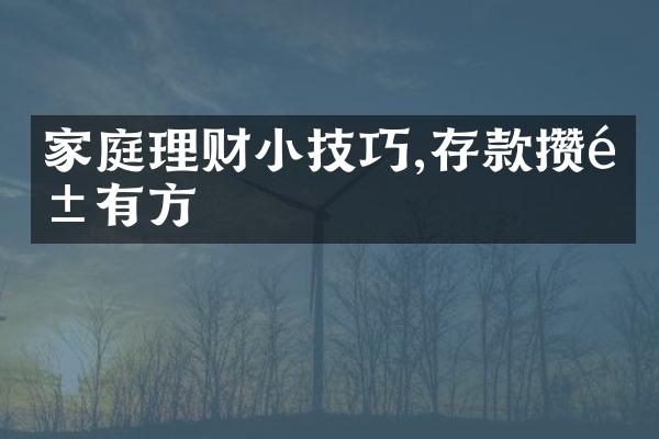 家庭理财小技巧,存款攒钱有方