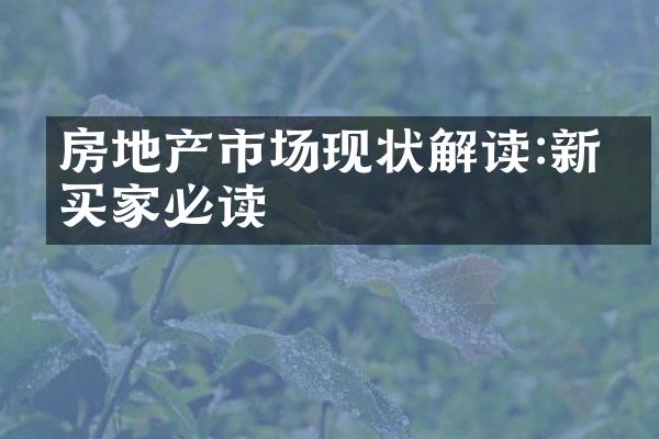 房地产市场现状解读:新手买家必读