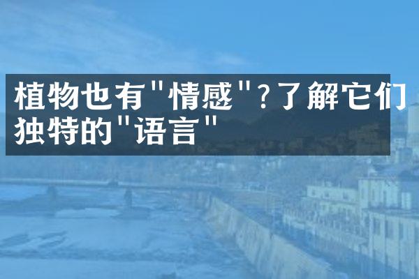 植物也有"情感"?了解它们独特的"语言"