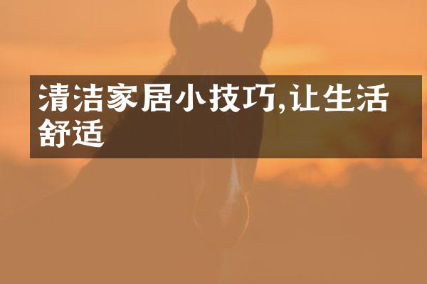 清洁家居小技巧,让生活更舒适