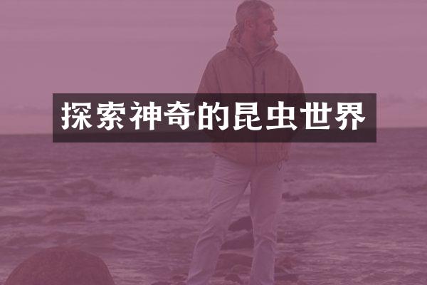 探索神奇的昆虫世界