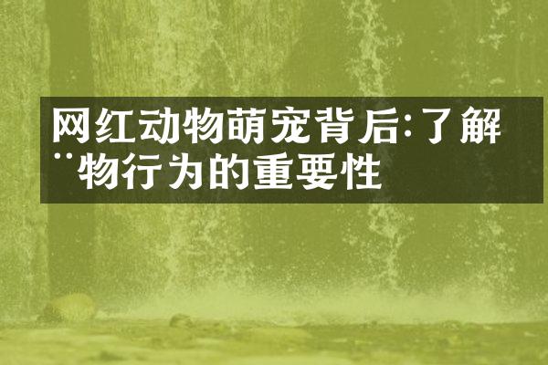 网红动物萌宠背后:了解动物行为的重要性