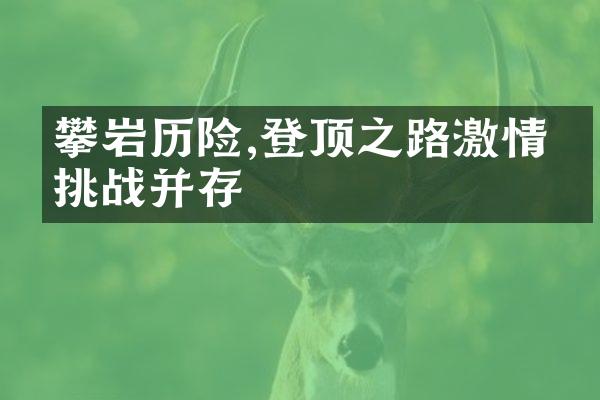 攀岩历险,登顶之路激情与挑战并存