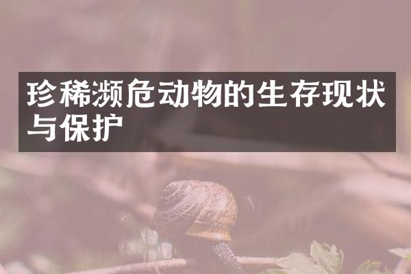 珍稀濒危动物的生存现状与保护